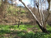 Enlarge photo 71