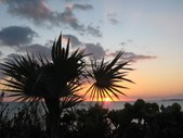 Enlarge photo 40