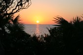 Enlarge photo 41