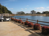 Enlarge photo 35
