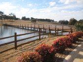 Enlarge photo 37
