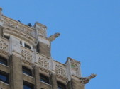 Enlarge photo 82