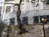 Enlarge photo 85