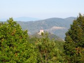 Enlarge photo 30