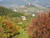 Enlarge photo 37