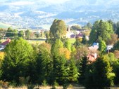 Enlarge photo 38