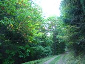 Enlarge photo 40