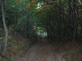 Enlarge photo 39
