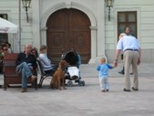 Enlarge photo 58