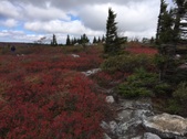 Enlarge photo 22