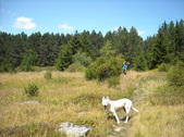Enlarge photo 18