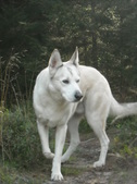 Enlarge photo 21
