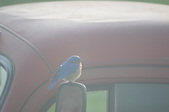 Enlarge photo 22