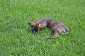 Enlarge photo 3