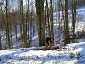 Enlarge photo 11