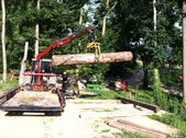 Enlarge photo 19