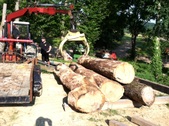 Enlarge photo 24