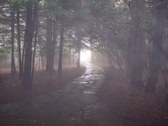 Enlarge photo 63