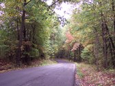 Enlarge photo 71