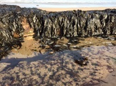 Enlarge photo 24