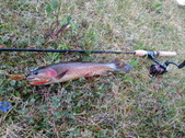 Enlarge photo 13
