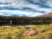 Enlarge photo 15