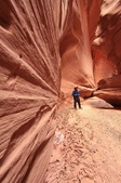 Enlarge photo 17