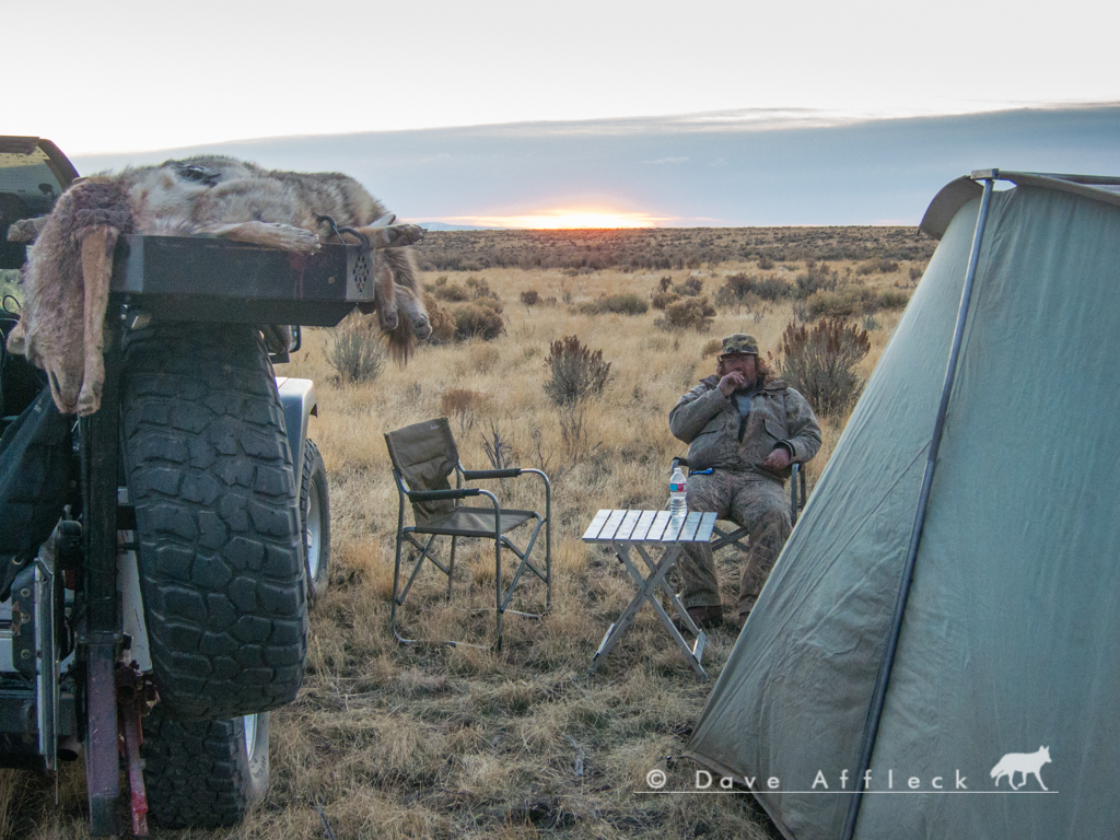 20161125_Coyote%20Hunt-2.jpg