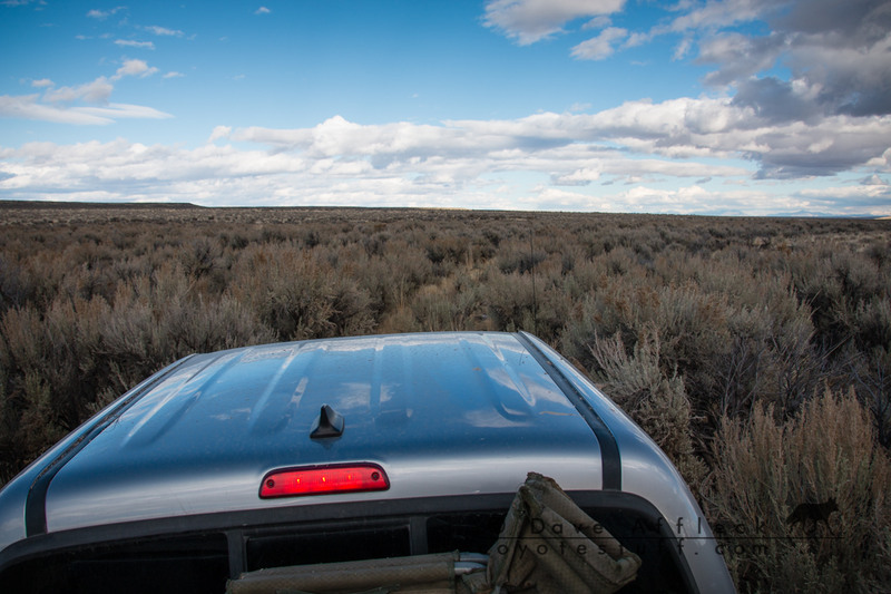 View of sage encroached desert two track