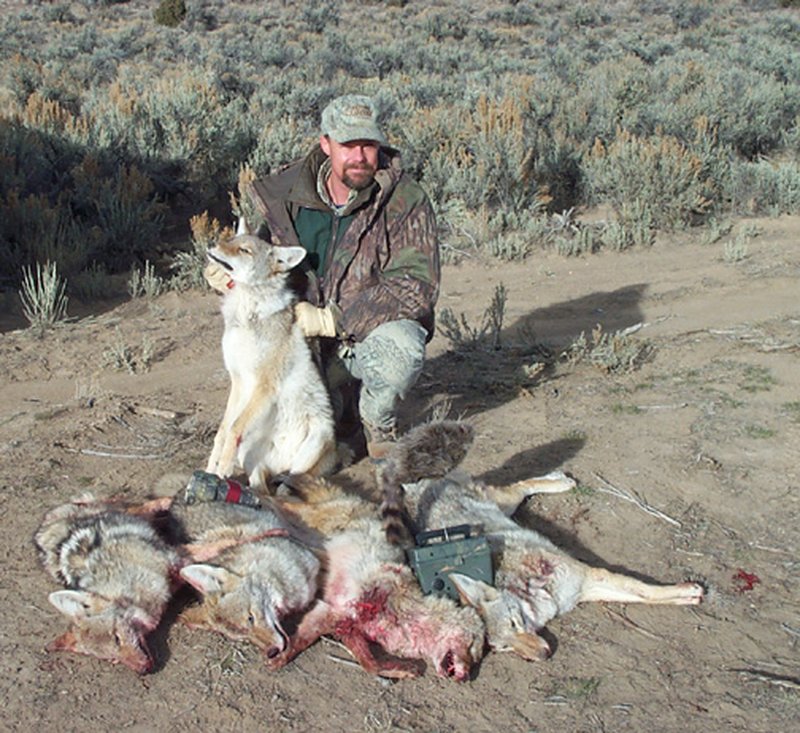 JIB5Yotes1W.JPG