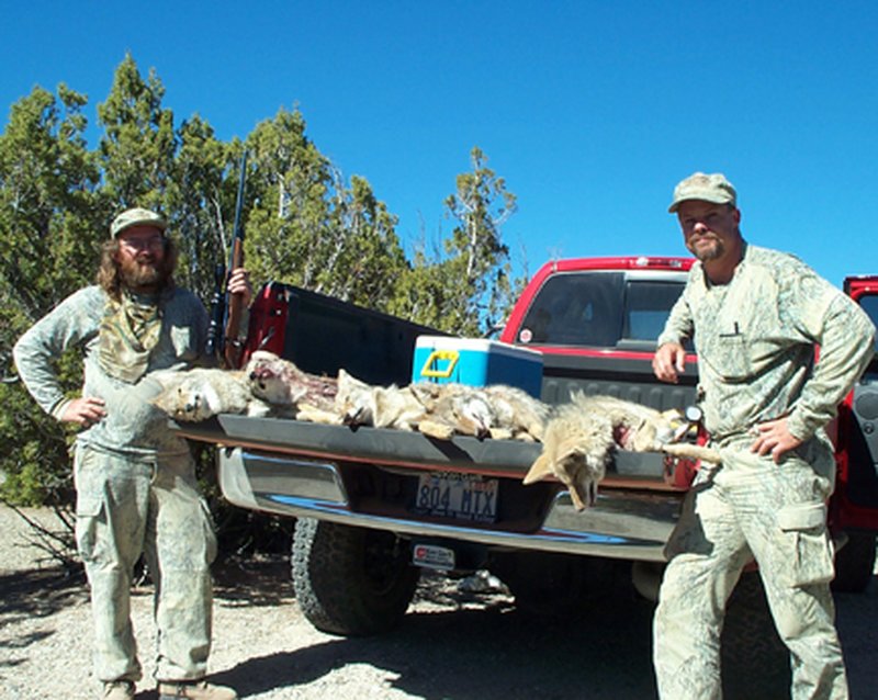 Tim-DAA5Yotes.JPG