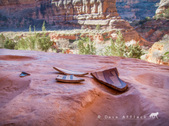 Enlarge photo 18