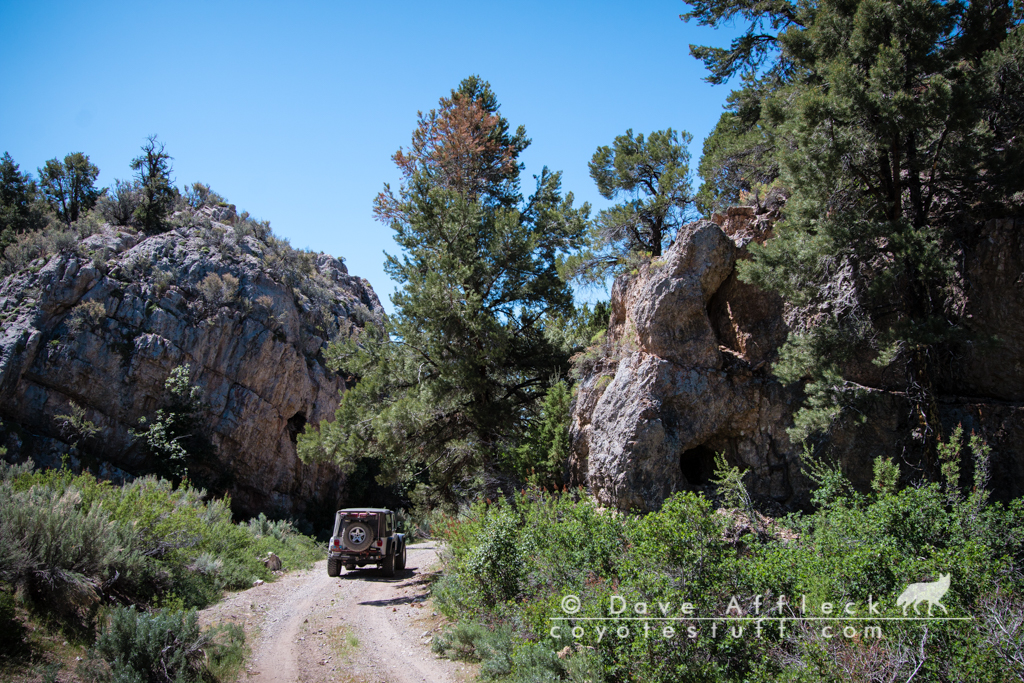 McEllen Canyon