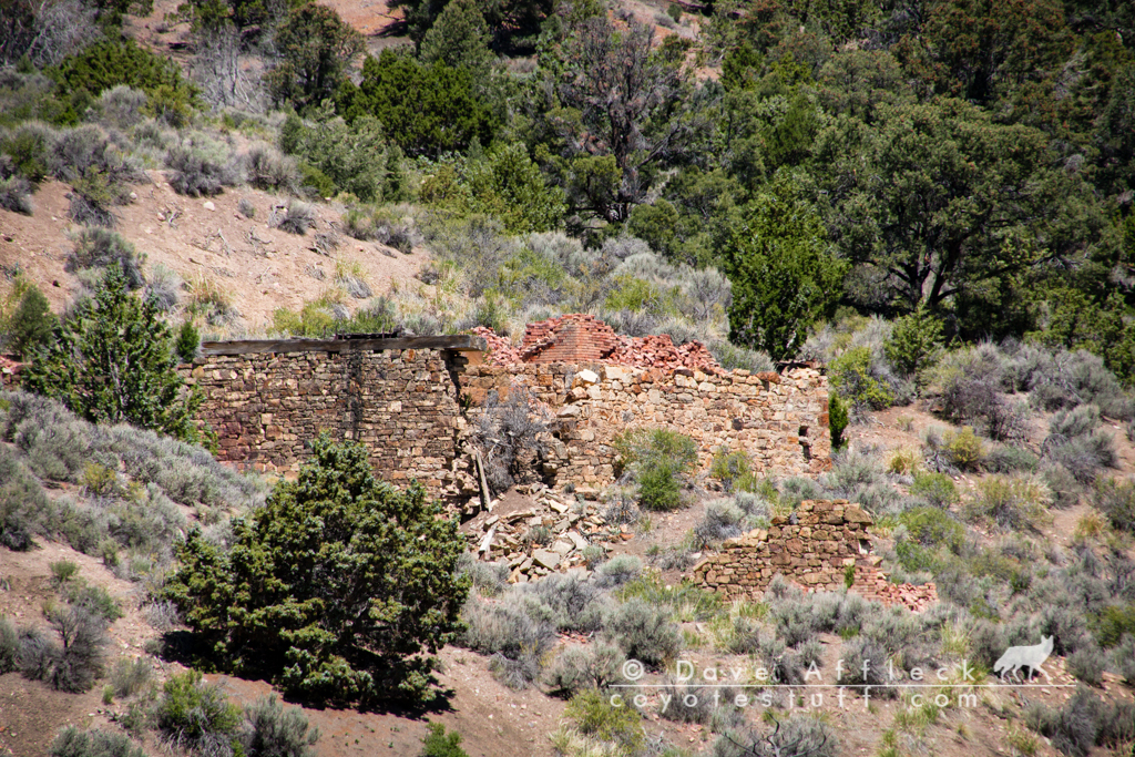 Mill ruins at Eberhardt