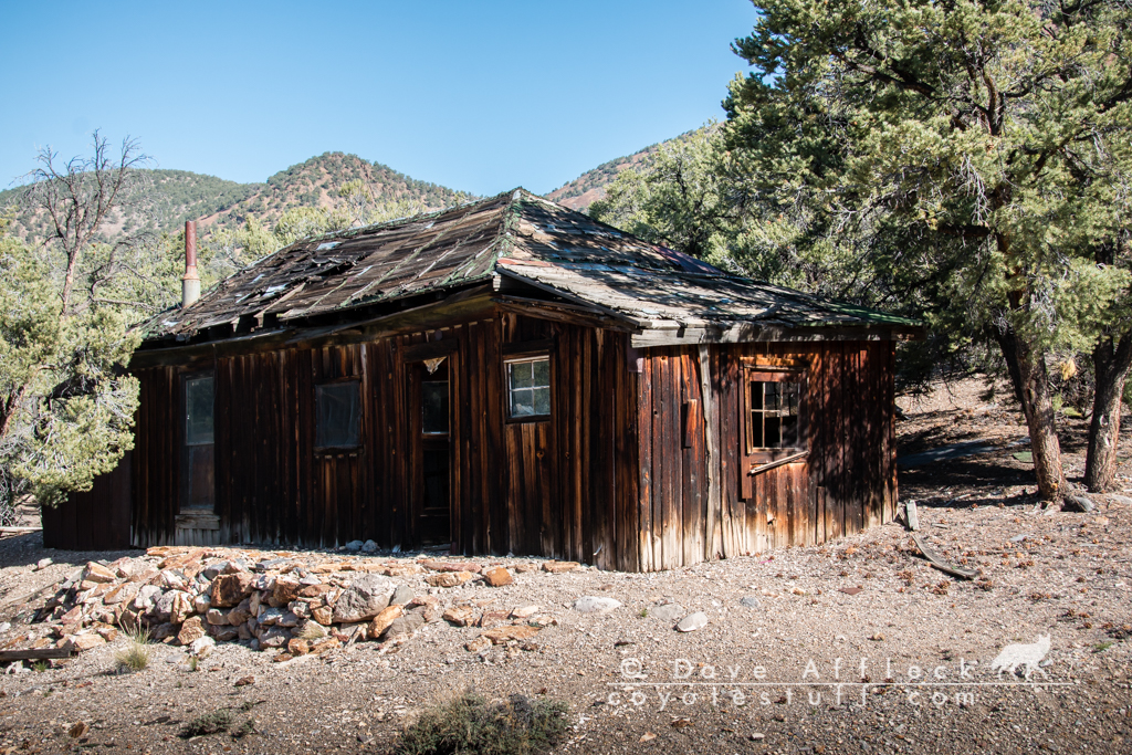 Miners cabin, Mountain View