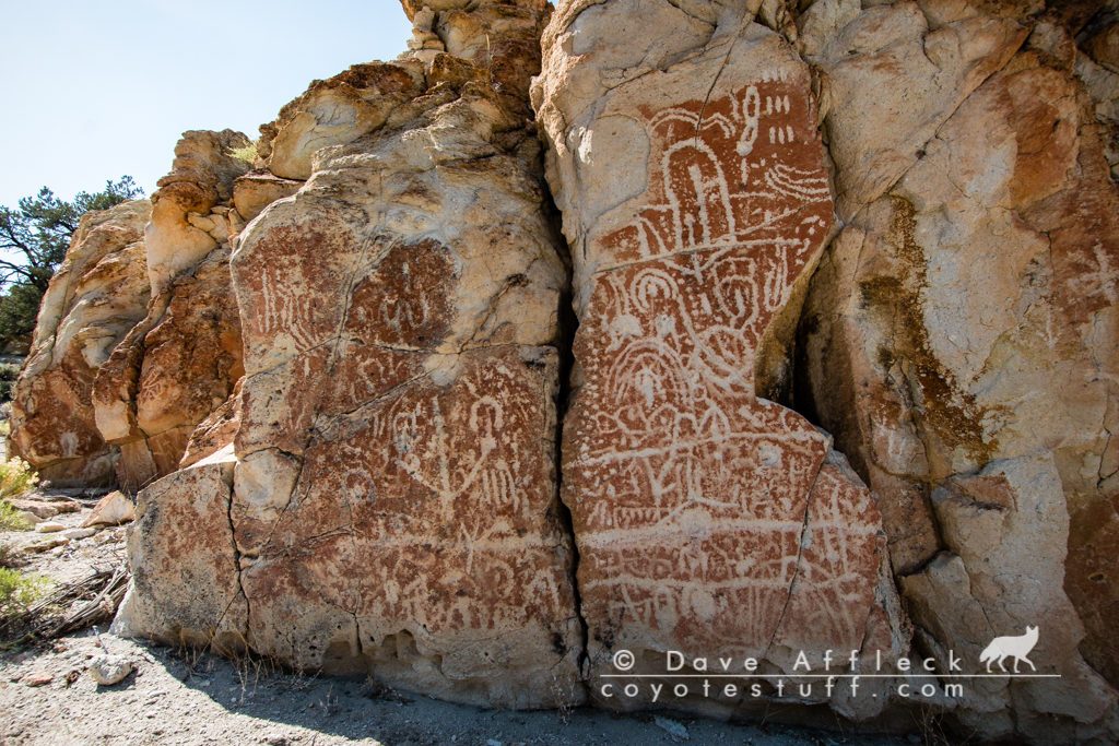 One of many rock art panels in the canyon