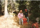 Enlarge photo 16