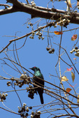 Enlarge photo 29