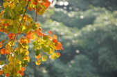 Enlarge photo 26