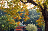 Enlarge photo 28