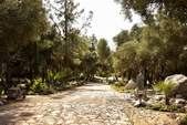 Enlarge photo 5