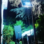 Enlarge photo 21