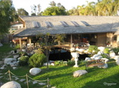 Enlarge photo 10