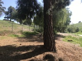 Enlarge photo 18