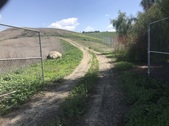 Enlarge photo 15