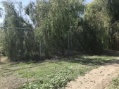 Enlarge photo 21