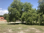 Enlarge photo 19