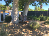 Enlarge photo 4