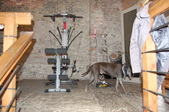 Enlarge photo 15