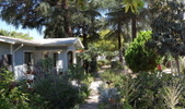 Enlarge photo 17